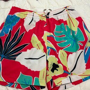 Rare Chubbies: Lined Swim Trunk (5.5") M